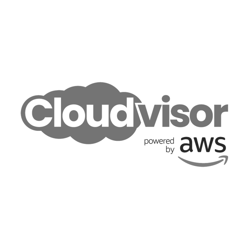 Cloudvisor Partner